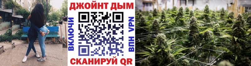 как найти закладки  Дагестанские Огни  MEGA как войти  Шишки марихуана тримм 
